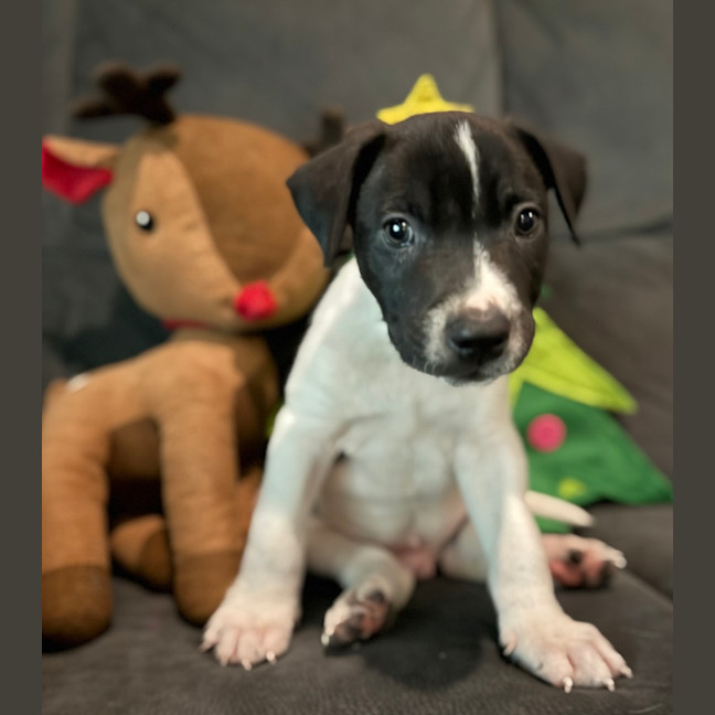 Photo of Kevin