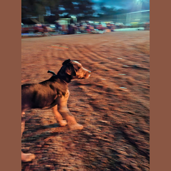 Photo of Patch
