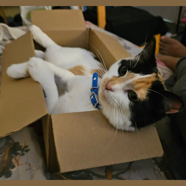 Photo of Mitzi