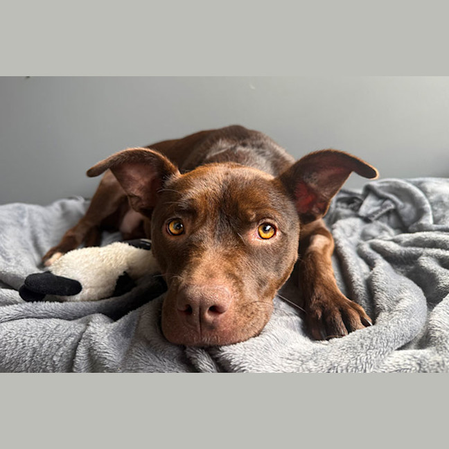 Photo of Freya