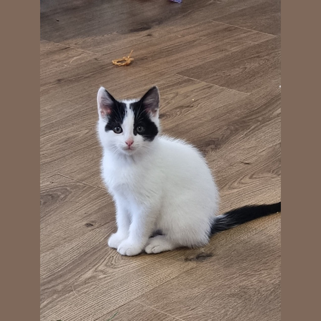 Photo of Eddie & Cherry 