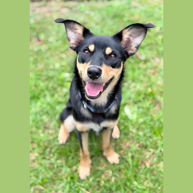 Photo of Kaia
