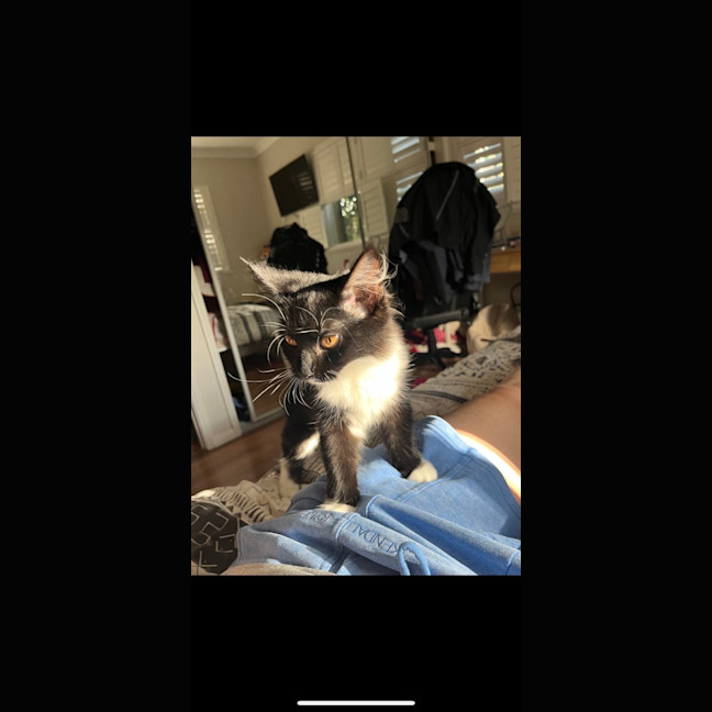 Photo of Lily