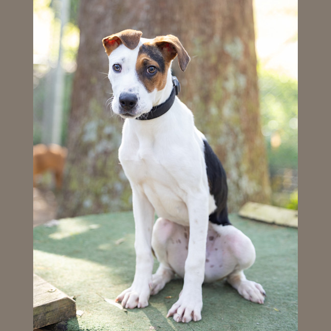 Photo of Zig