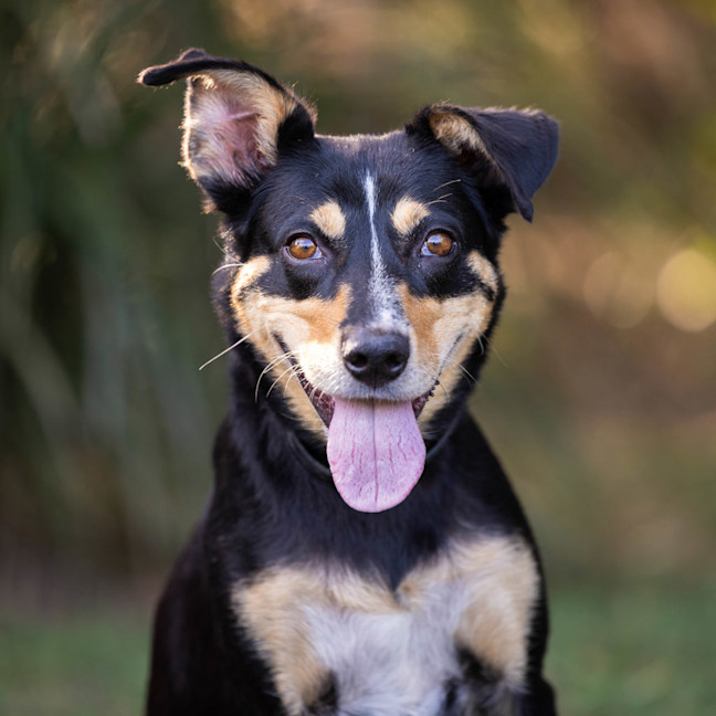 Photo of Kelsey (Twinkle)