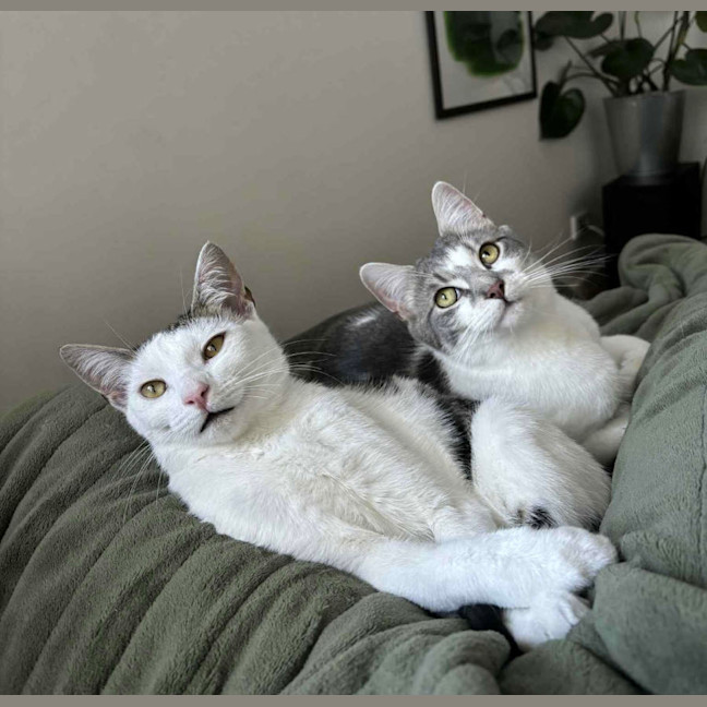 Photo of Cloud & Pebble