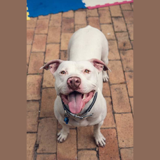 Photo of Ghost