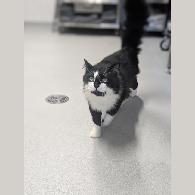 Photo of 🥨 Hamish 7370 🥨