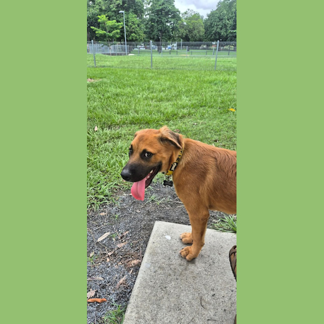 Photo of Penny