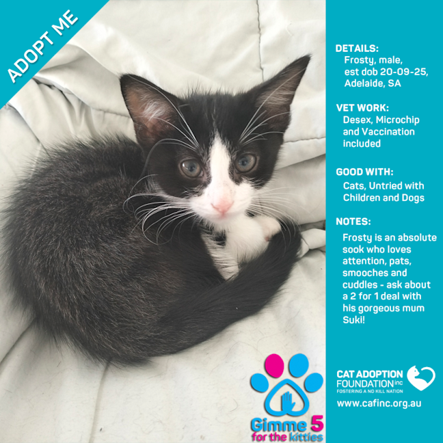 Photo of Suki And Frosty