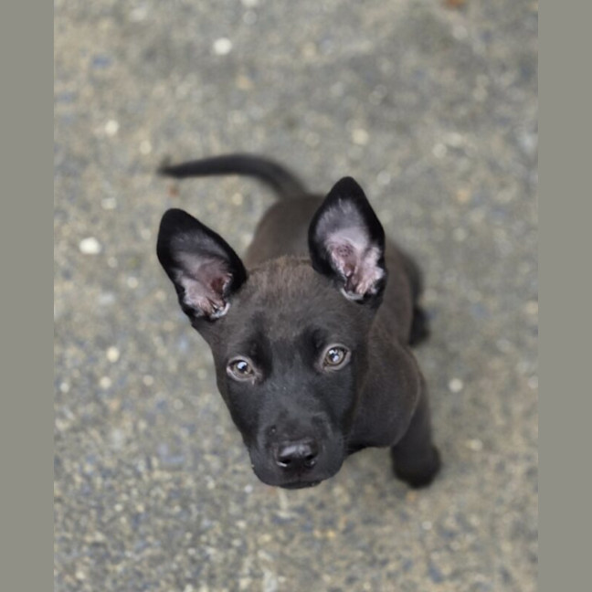 Photo of Bonnie