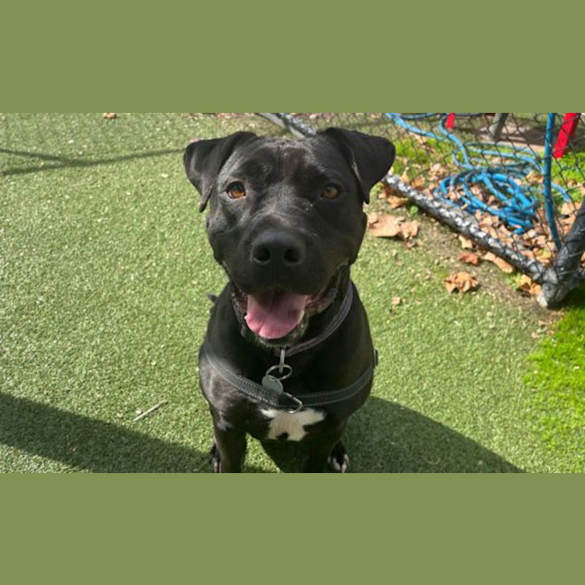 Photo of Jet