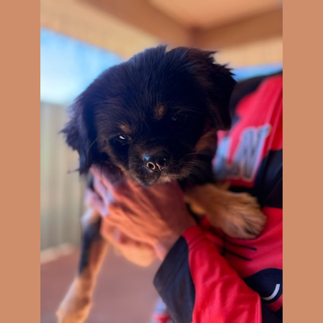 Photo of Kiki
