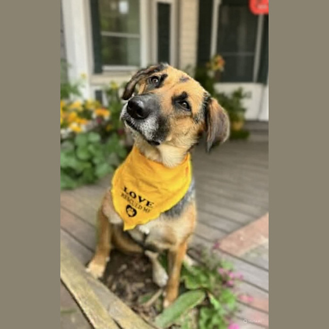 Photo of Rosey