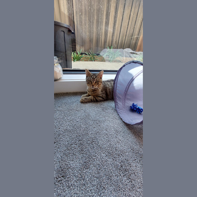 Photo of Peggy