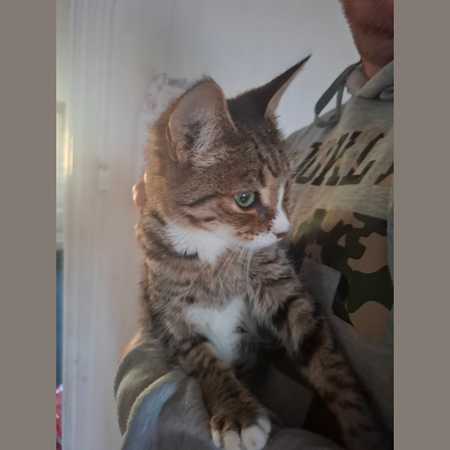 Photo of Buddy