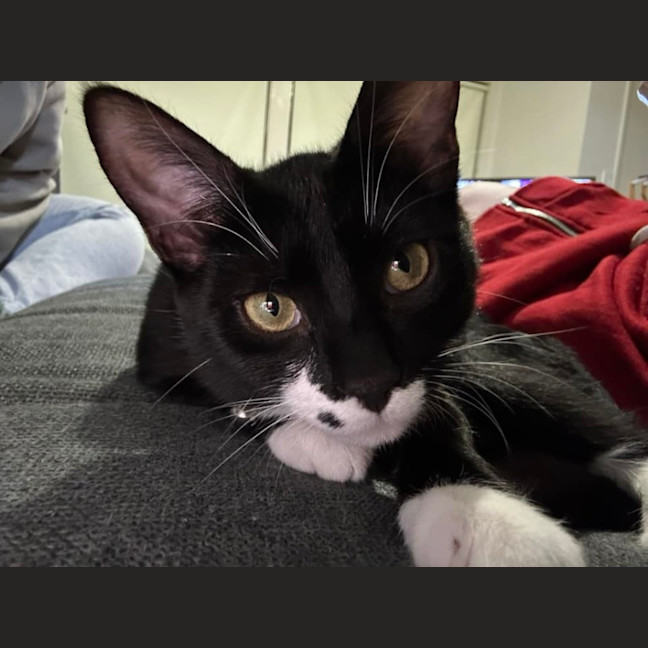 Photo of Coco