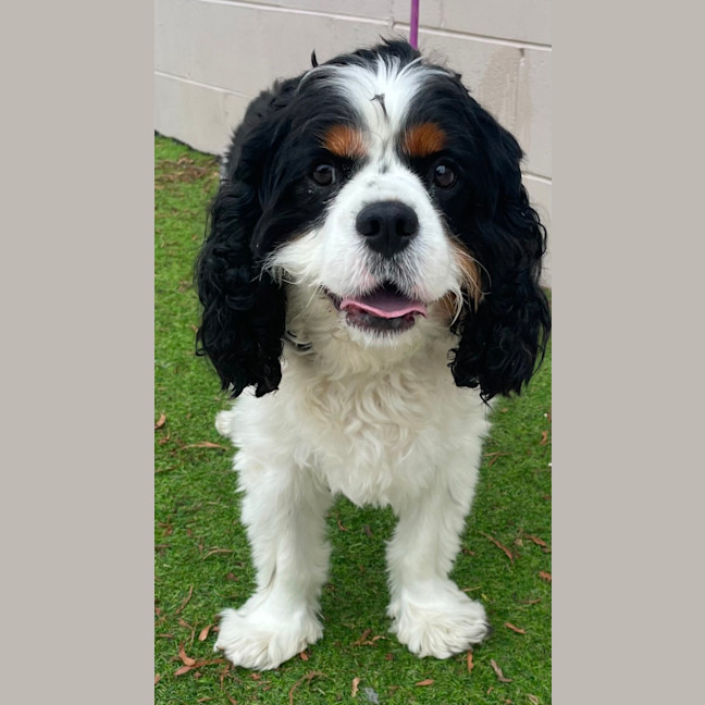 Photo of Winston