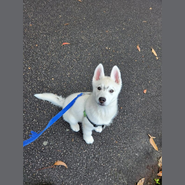 Photo of Spud Now Known As Blizzard