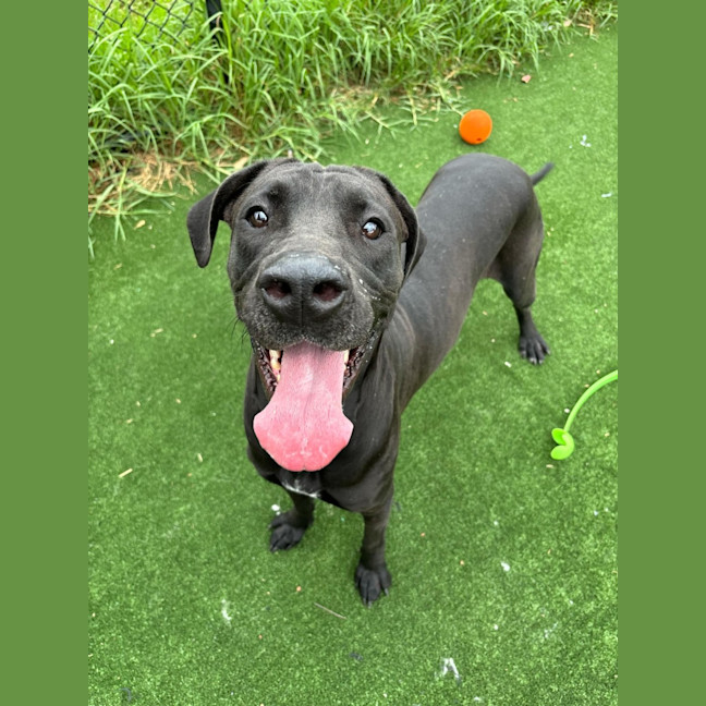 Photo of Ursula Imp 2239