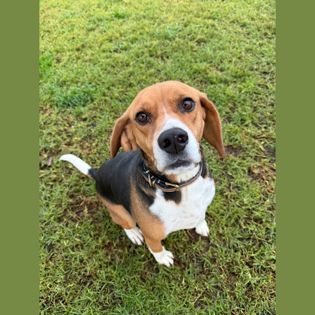 Photo of Sammi