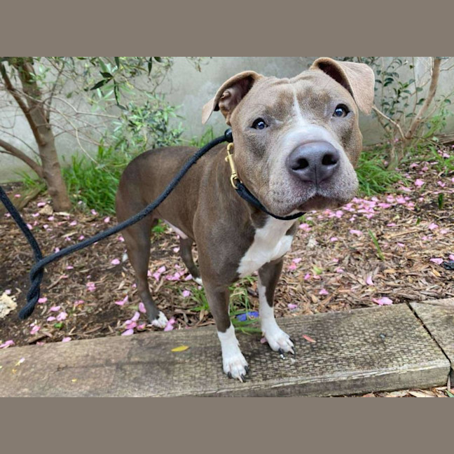 Photo of Thor