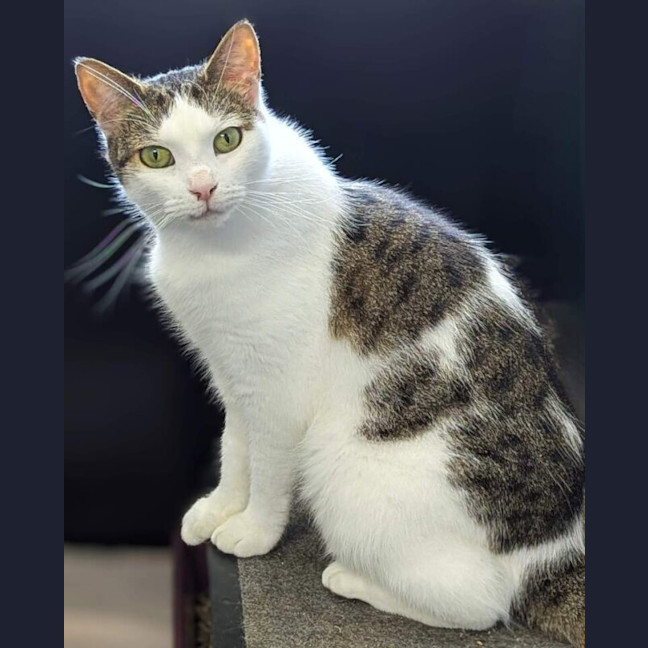 Photo of Sammi