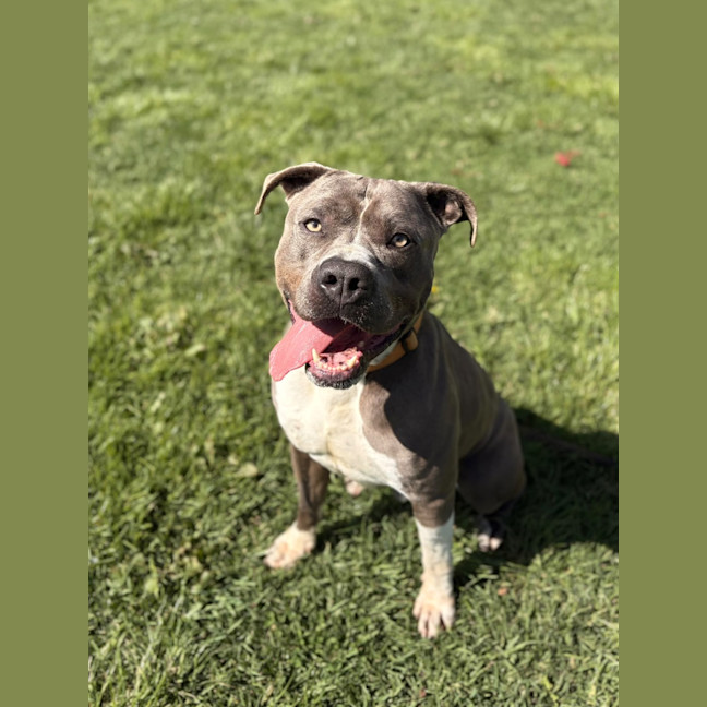 Photo of Dudley