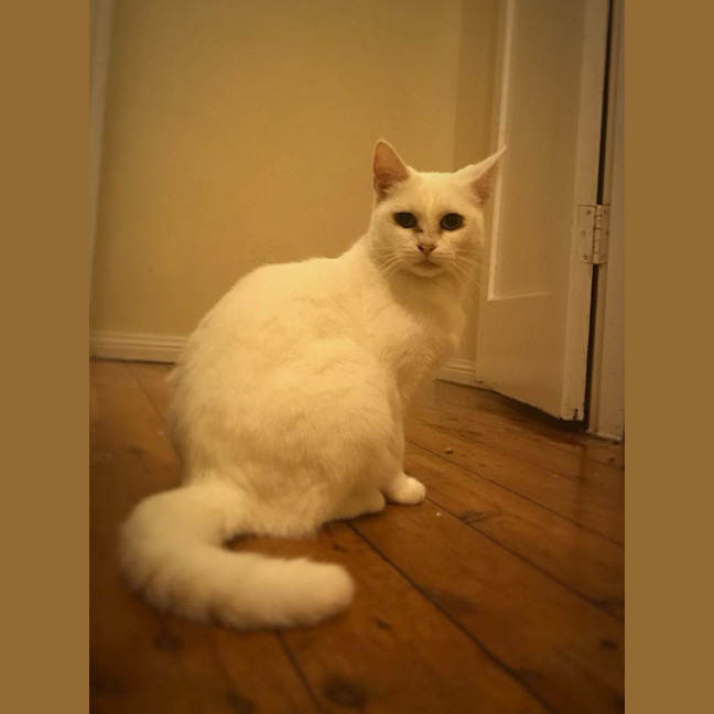 Photo of Rachel & Iggy