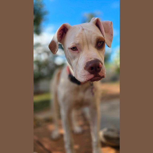 Photo of Clementine