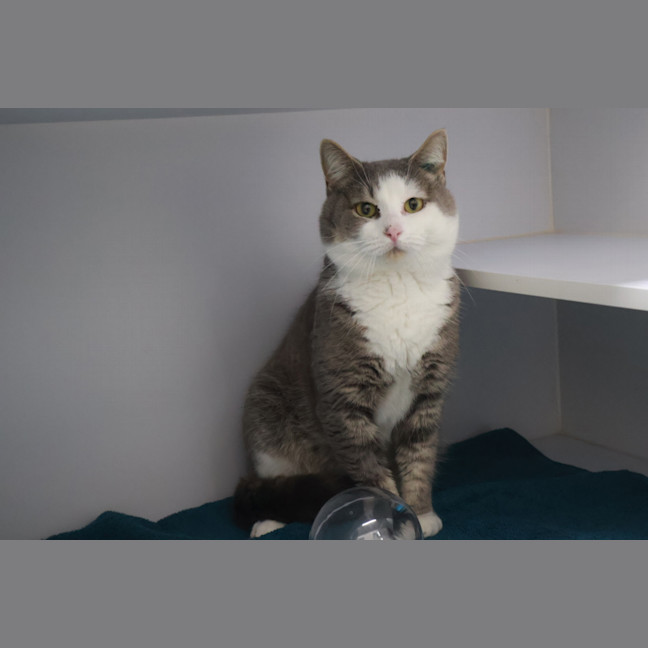 Photo of Jasper