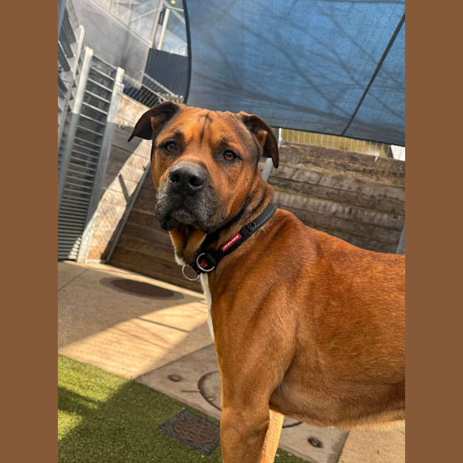 Photo of Zeke