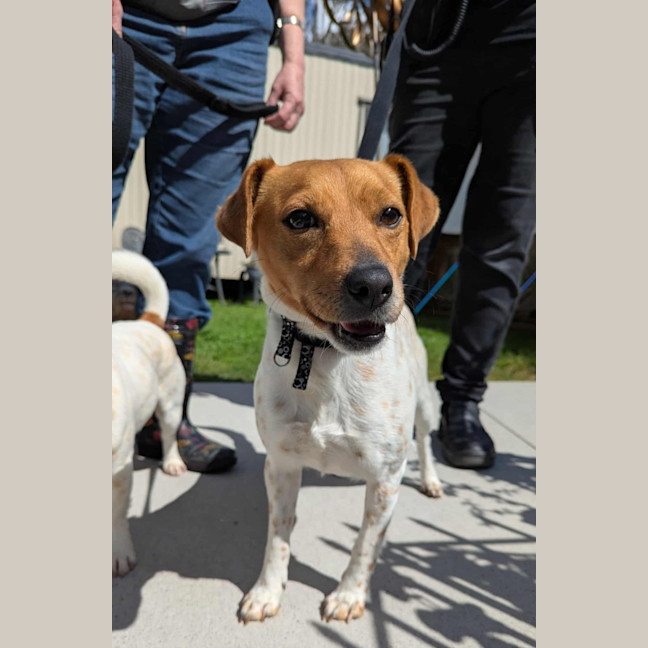 Photo of Rosie & Athos