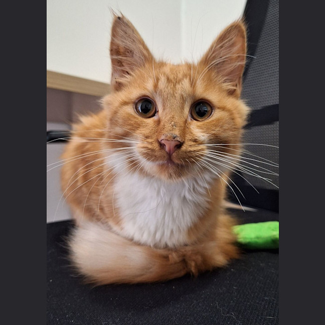 Photo of Gilly