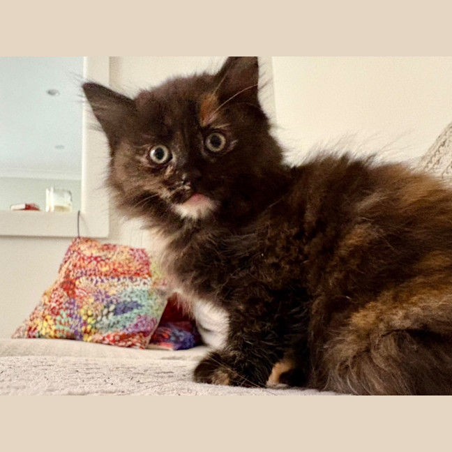 Photo of Cash