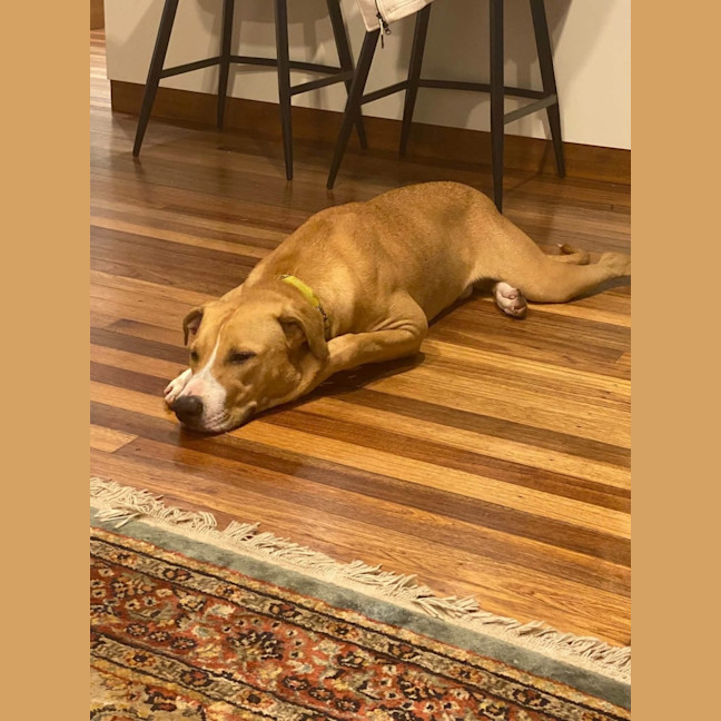 Photo of Chase 