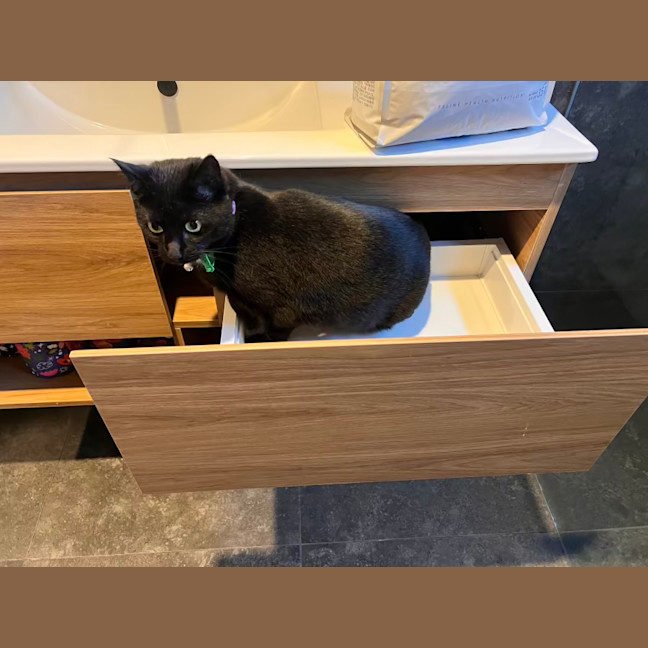 Photo of Holly