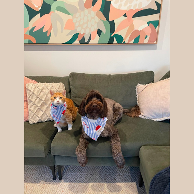 Photo of Murphy 