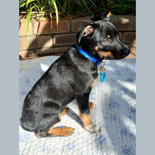 Photo of Parker