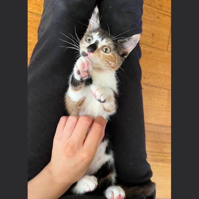 Photo of Lottie & Cindy 🌺🌺