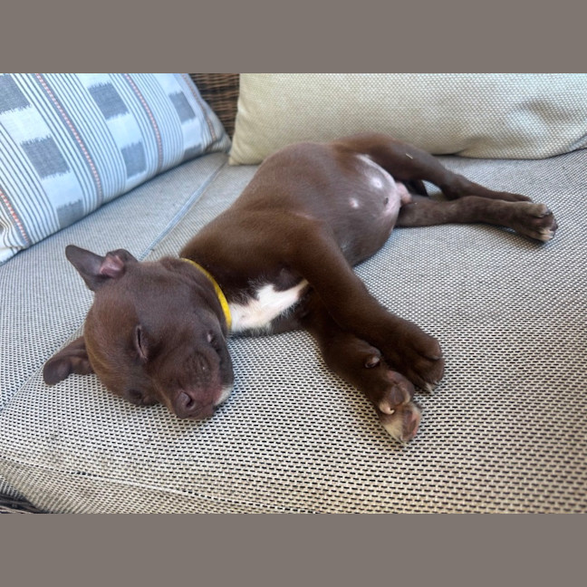Photo of Lenny