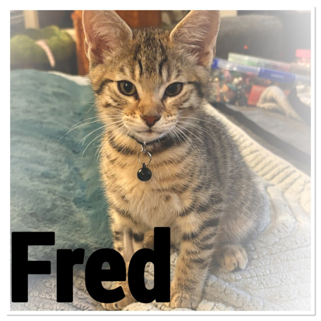 Photo of Fred