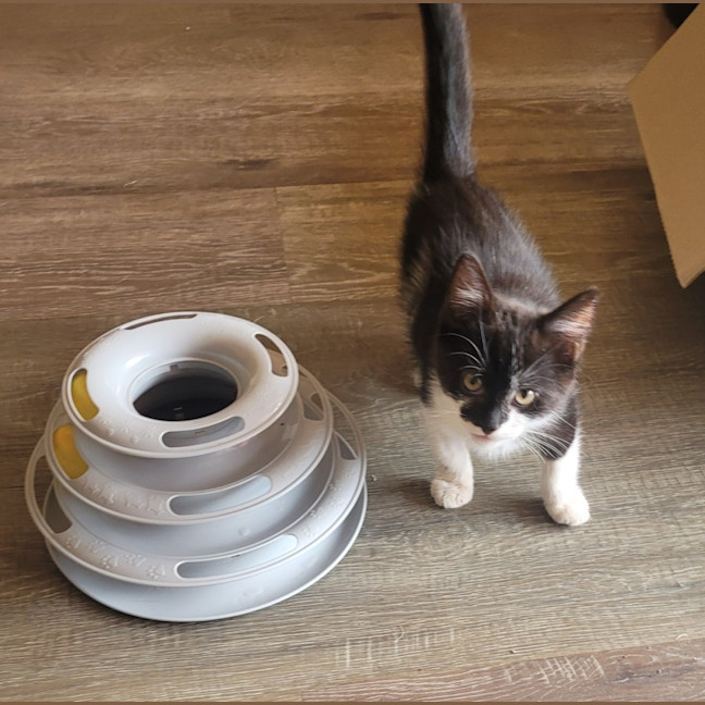 Photo of 💕 Atlas 💕