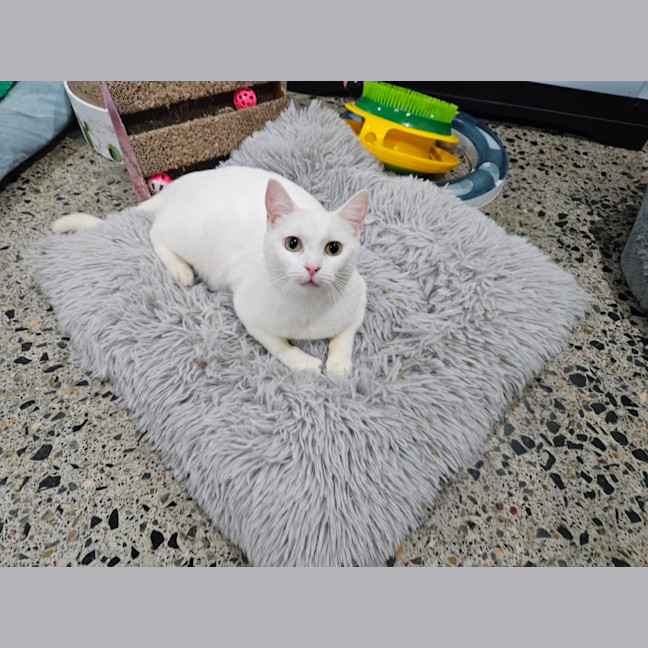 Photo of Rinnie