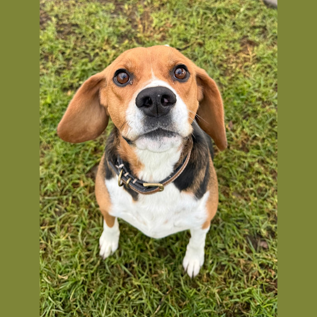 Photo of Sammi