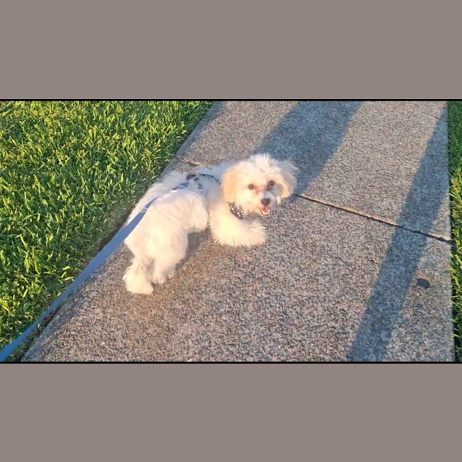 Photo of Connie Coconut 