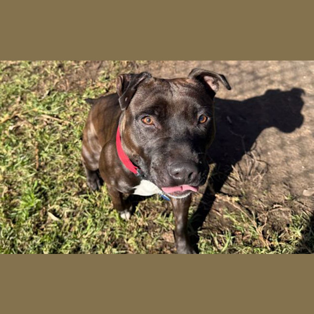 Photo of Miss Mable