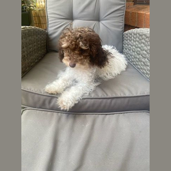 Photo of Harmony ☺️