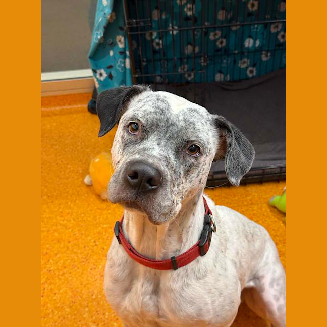 Photo of Ghost