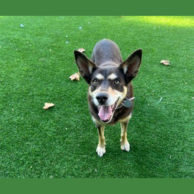 Photo of Annie